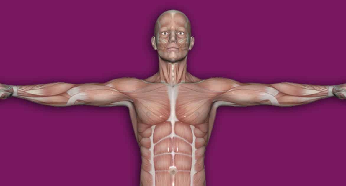 human biology Oxford Tutors online course tutoring Oxbridge admissions