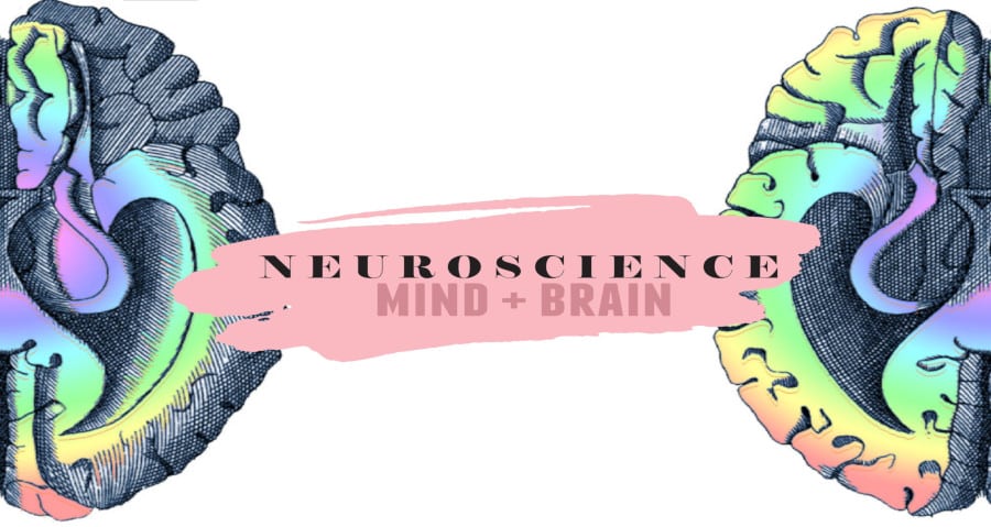 Neuroscience Oxford Tutors online courses Oxbridge admissions preparation Cambridge