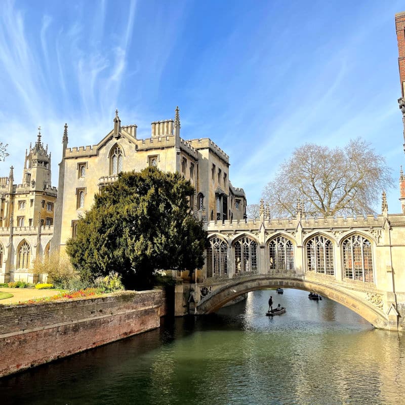 Bespoke Oxbridge Support Oxford Cambridge