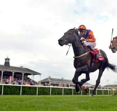 each way value tips review 4 Tipsters For FREE