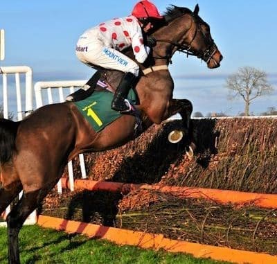 Top Rated Jumps Review Top Rated Jumps Review