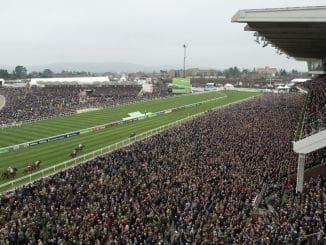 Hot Tips For Cheltenham