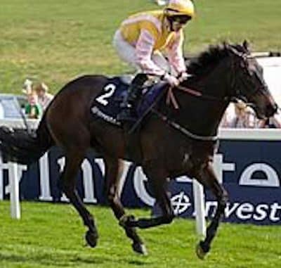 jacks of surrey review Six amazing facts about horse racing