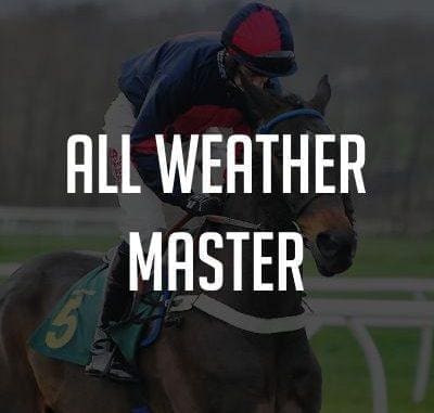 AW-Master all weather master review