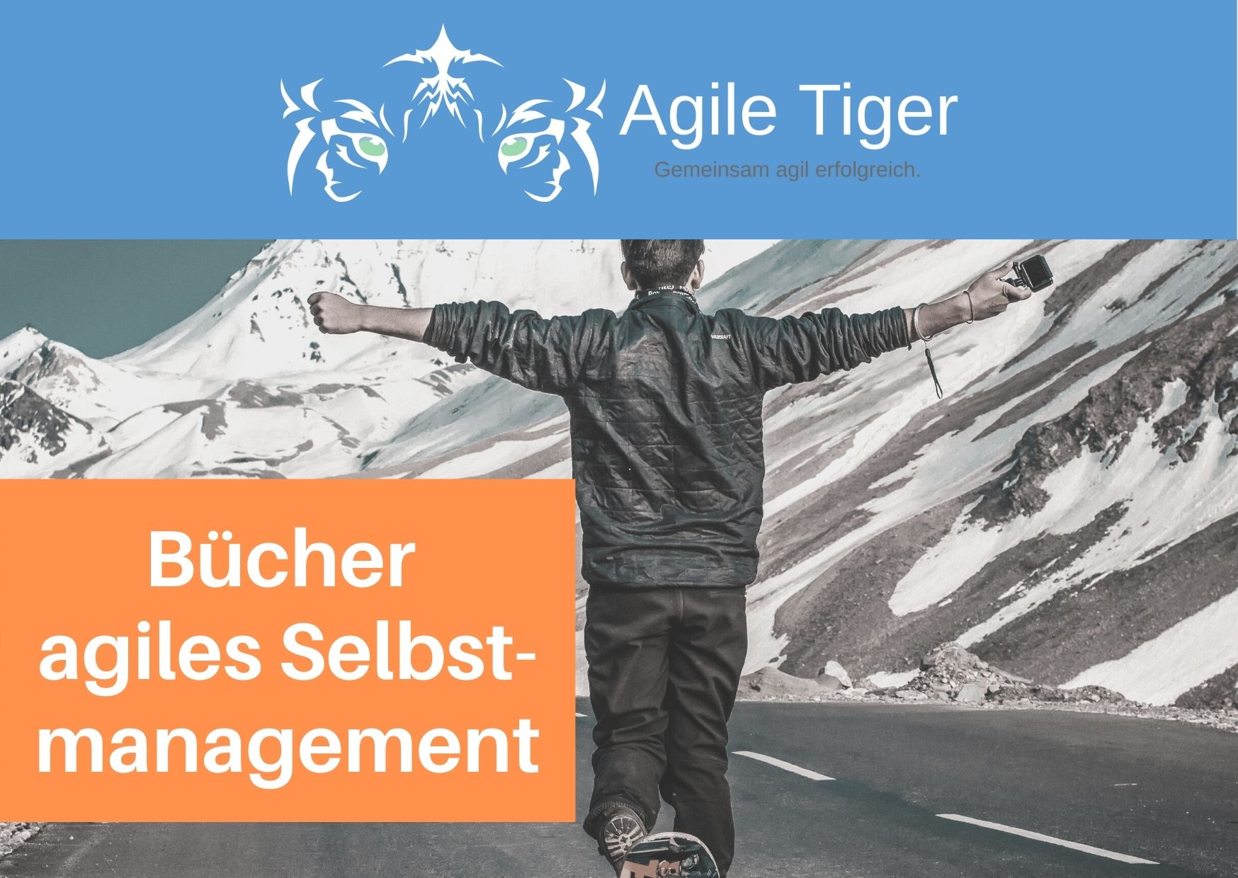 Buchempfehlungen Agiles Selbstmanagement Agile Tiger Prinzip