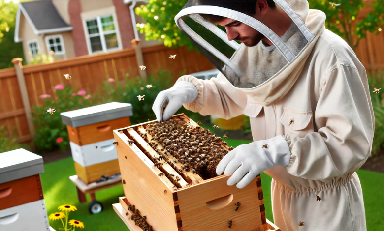 Common Mistakes in Backyard Beekeeping for Beginners and How to Avoid Them