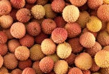 LITCHI