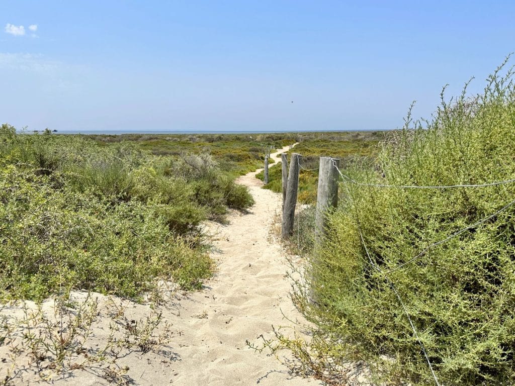 Kuriat Island i Tunisien