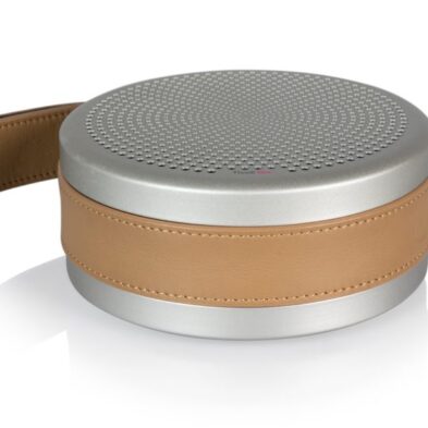 Tivoli Audio go top silver