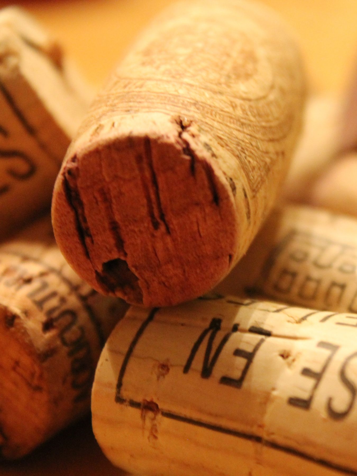 catas-de-vino-leon