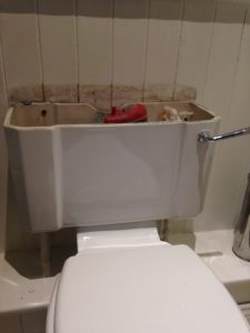 Toilet without lid 