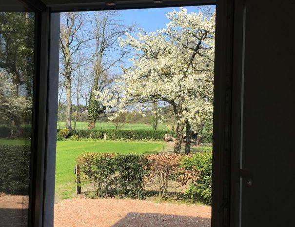 Buiten Witheren