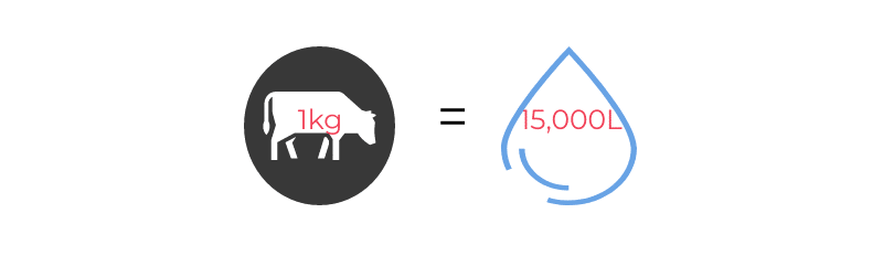 water used by the meat industry for 1kg of beef