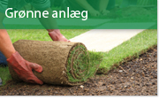 Grønne anlæg
