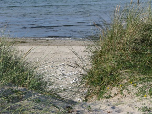 strand – Inge Cohen Rohleder