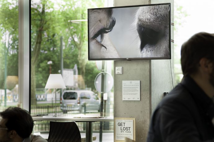 Get lost - Anna Frijstein - DC Coffee - videostill