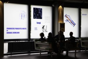 get lost - Annabel Howland - VU- PPH