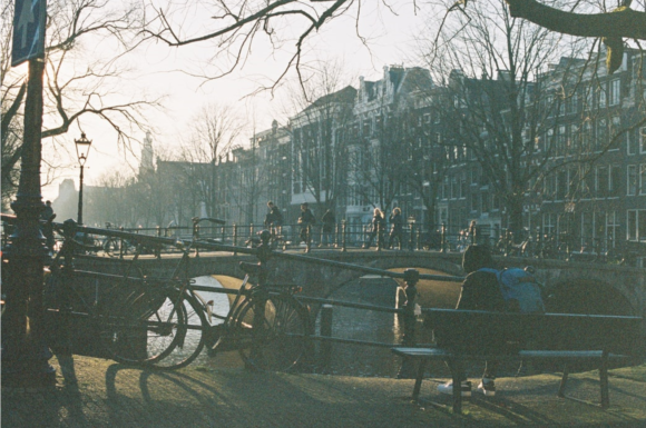 rat amsterdam