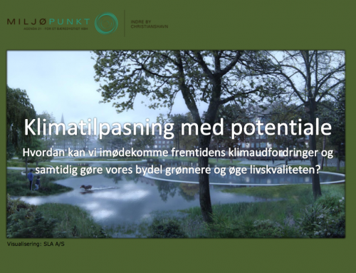 Klimatilpasning med potentiale