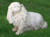 Marmorhund med lange ører – Cockerspaniel  – italiensk