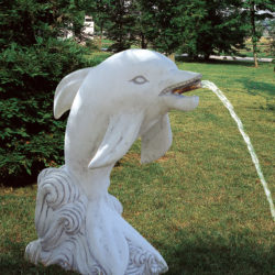Delfin
