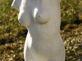 Figur Torso Kvinde