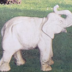 Elefant