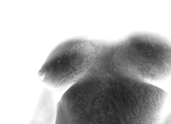 201908_Concept-&-Editing-by-Julia-de-Rosenwerth5
