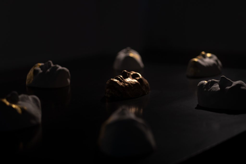 SELF NORMALIZATION exhibition artwork