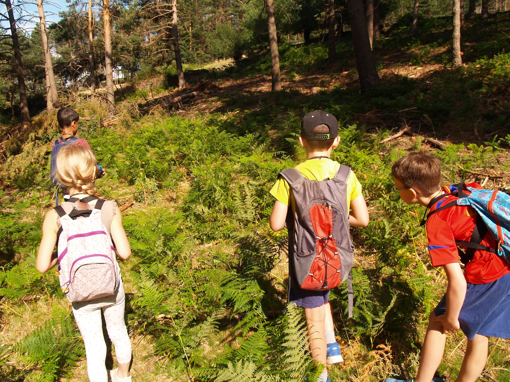 Educación Ambiental Madrid