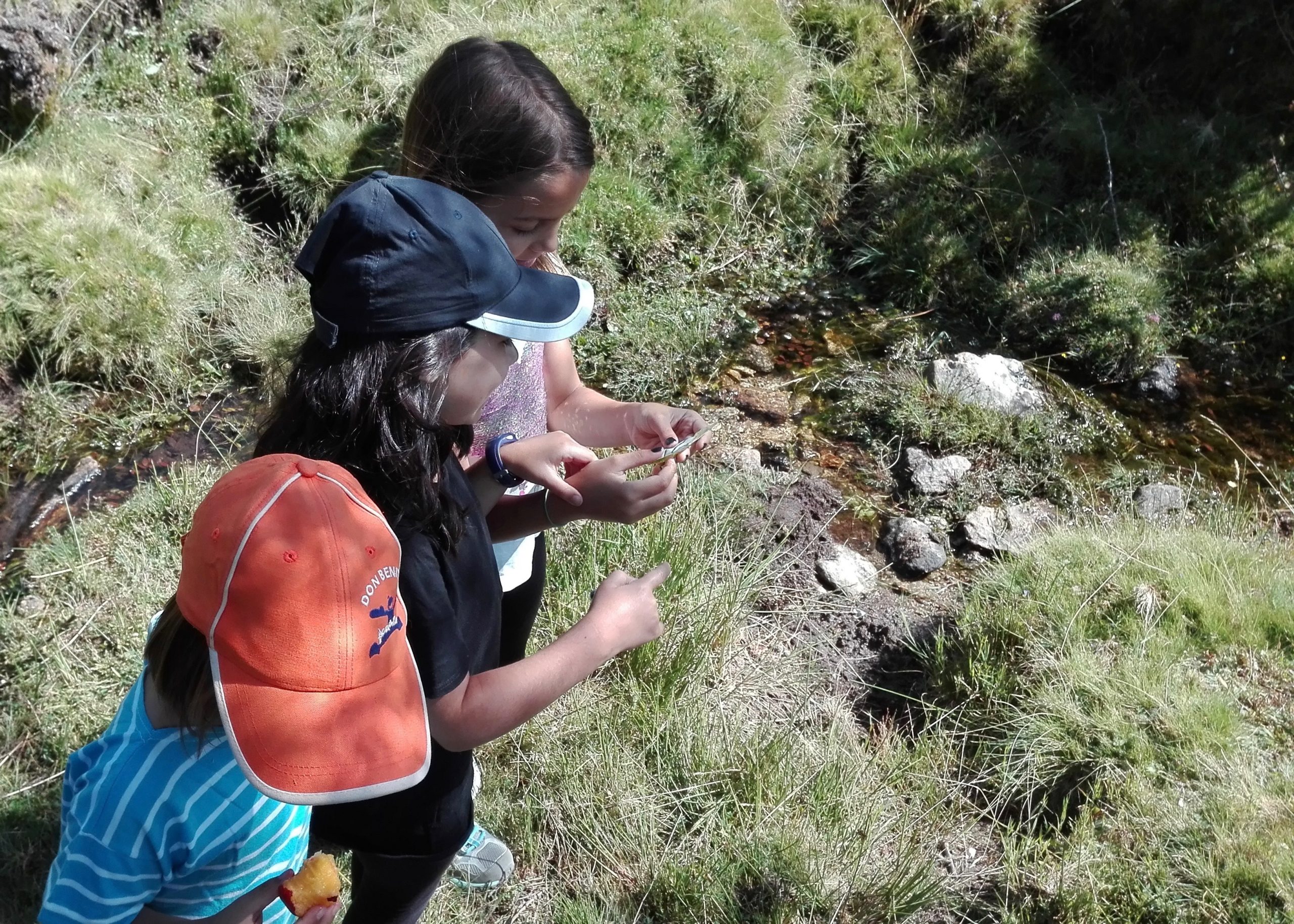 Campamento de Verano en la Naturaleza