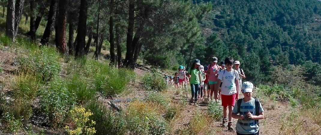 Campamento de Verano en la Naturaleza