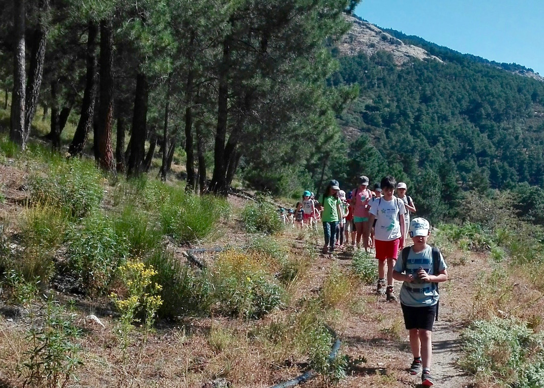 Campamento de Verano en la Naturaleza