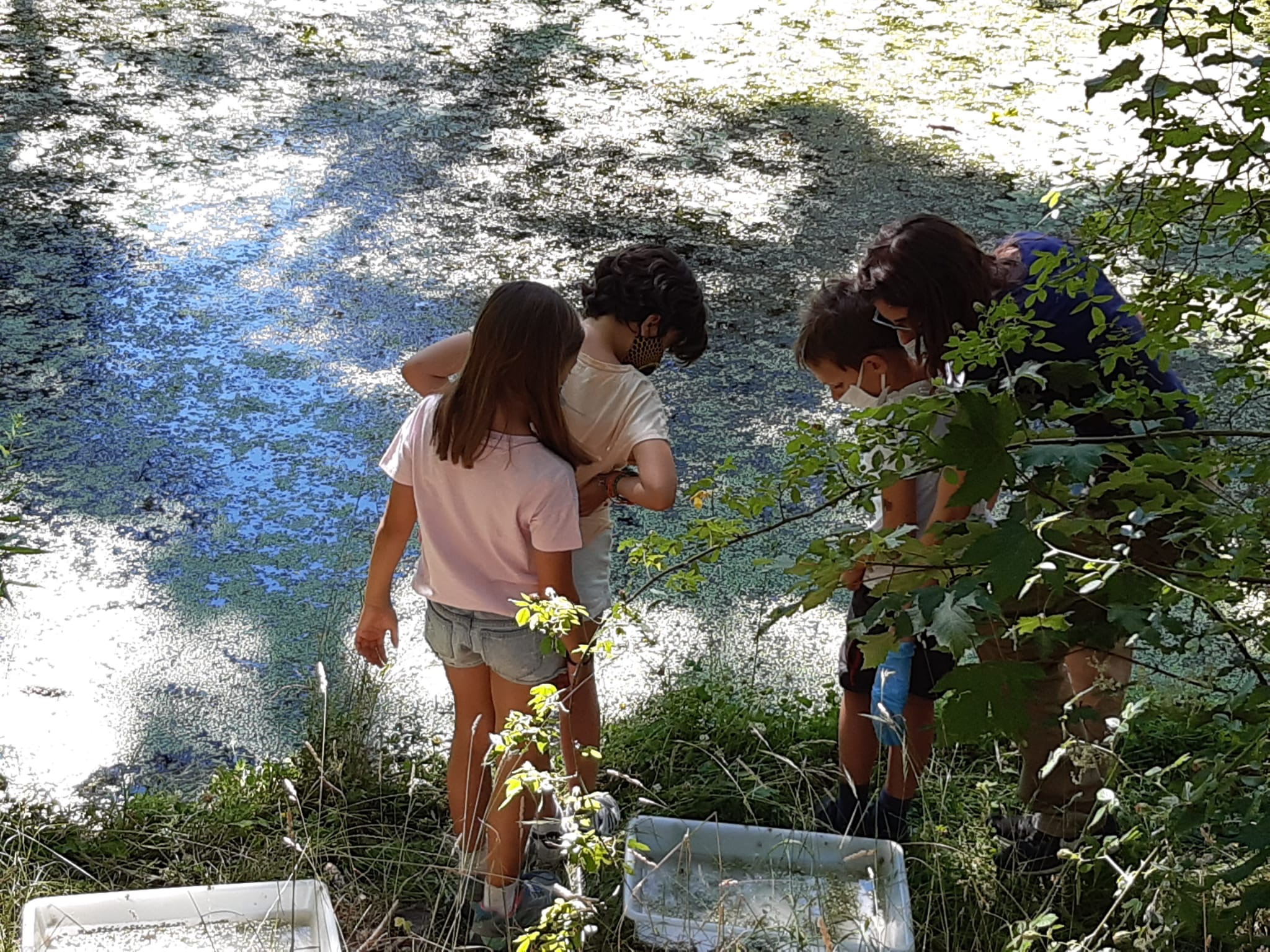 Campamento de Verano en la Naturaleza