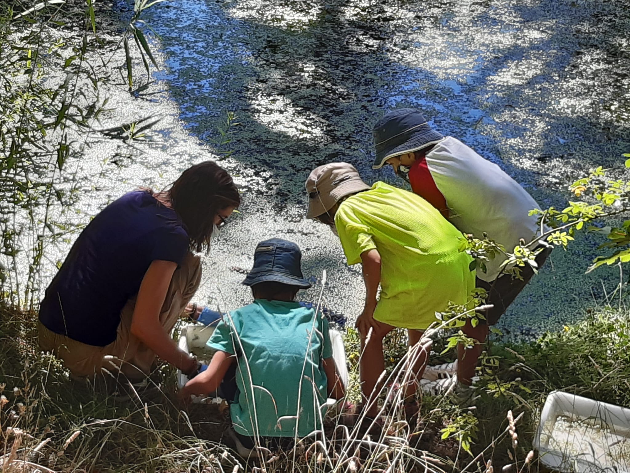 Campamento de Verano en la Naturaleza