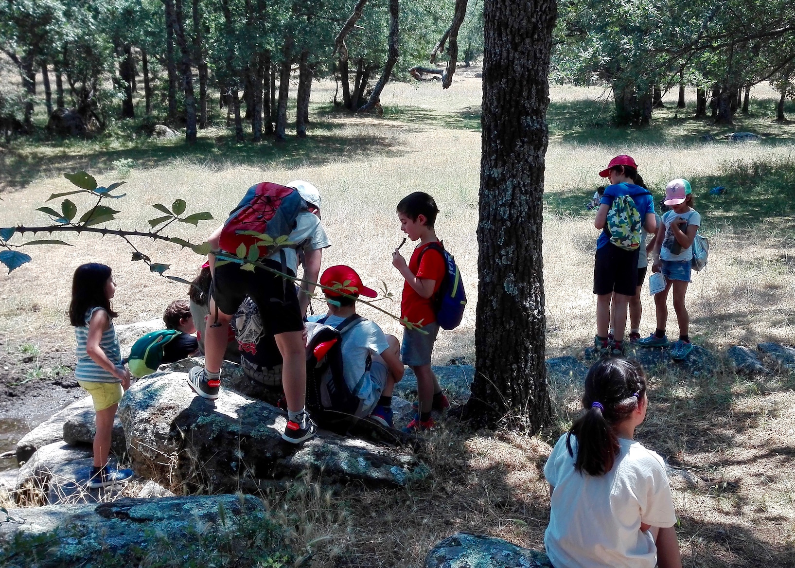 Campamento de Verano en la Naturaleza