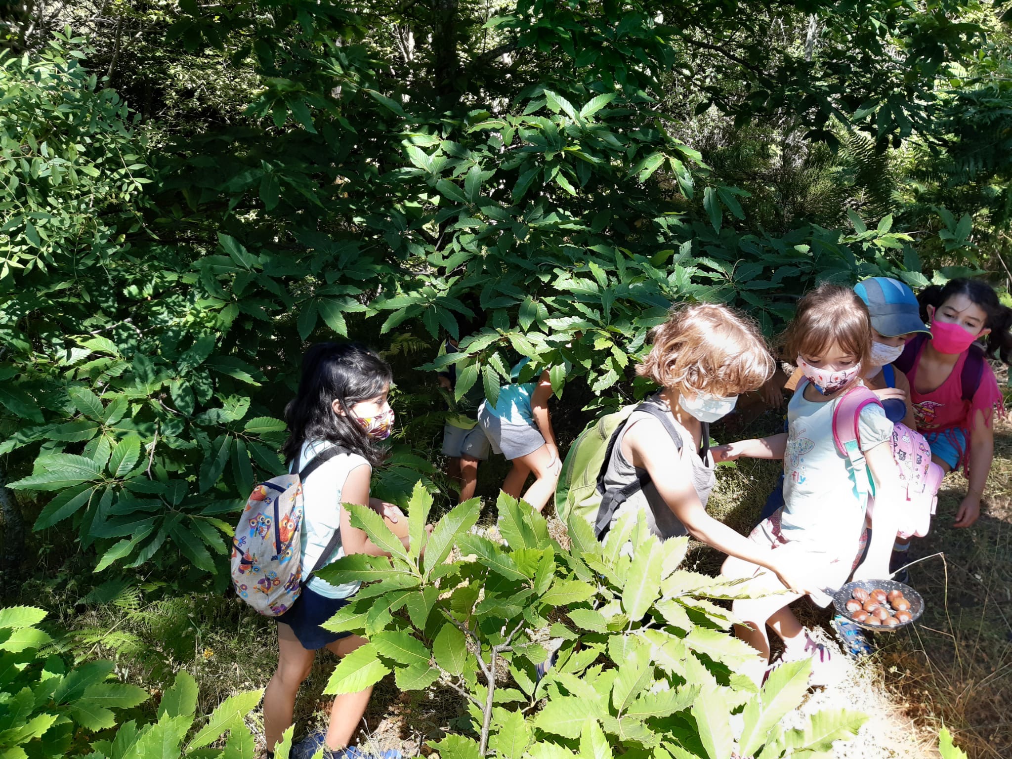 Campamento de Verano en la Naturaleza