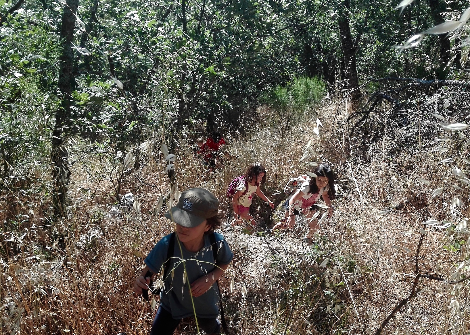 Campamento de Verano en la Naturaleza