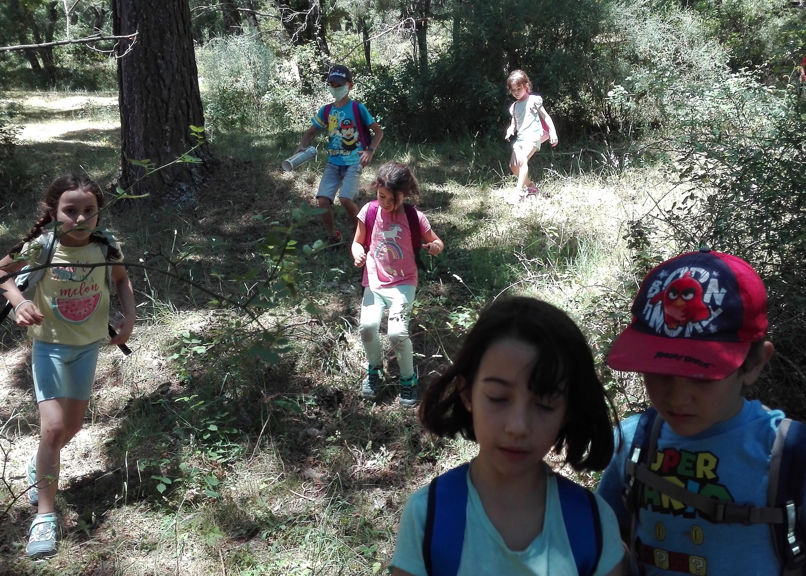 Campamento de Verano en la Naturaleza