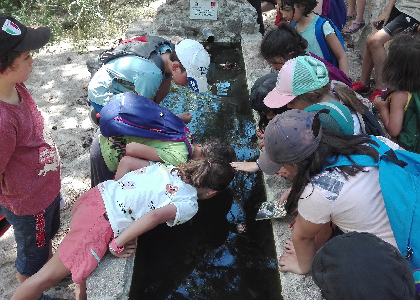 Campamento de Verano en la Naturaleza