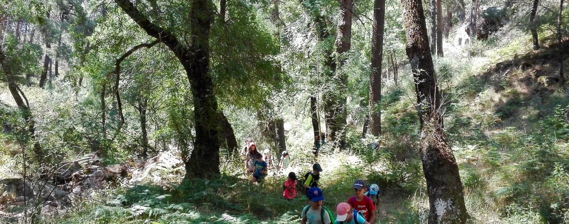 Campamento de Verano en la Naturaleza