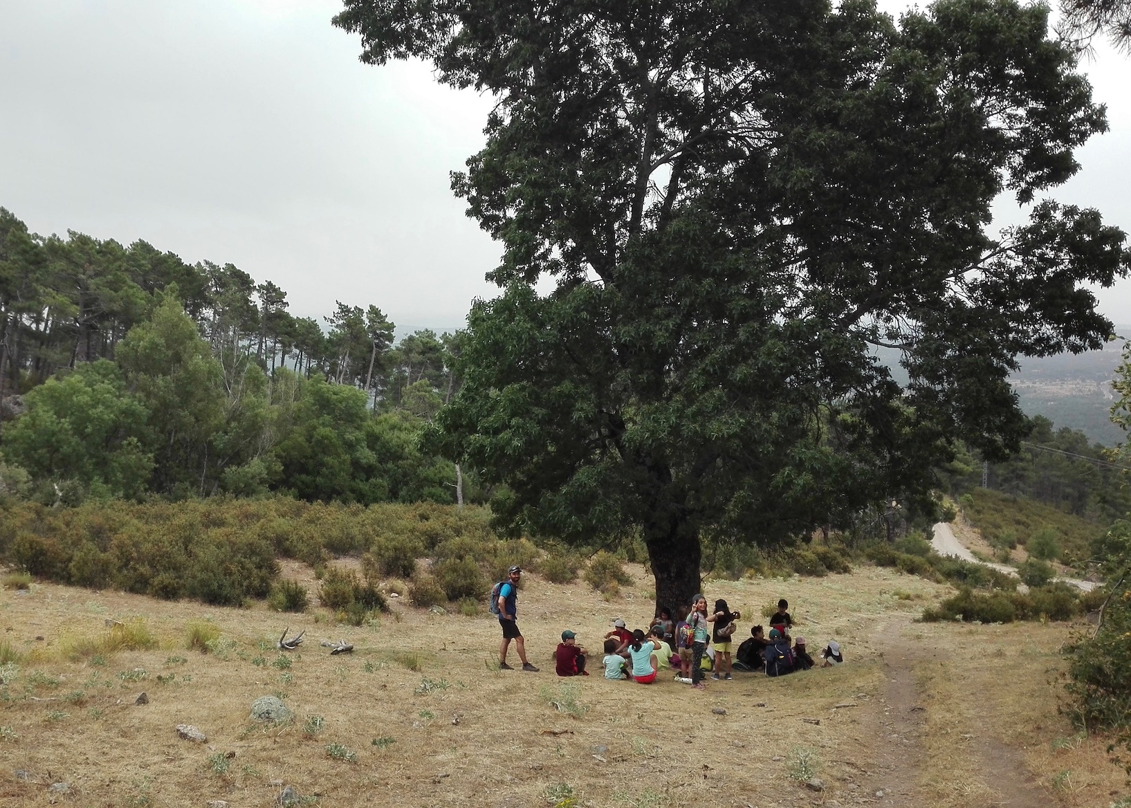 Campamento de Verano en la Naturaleza