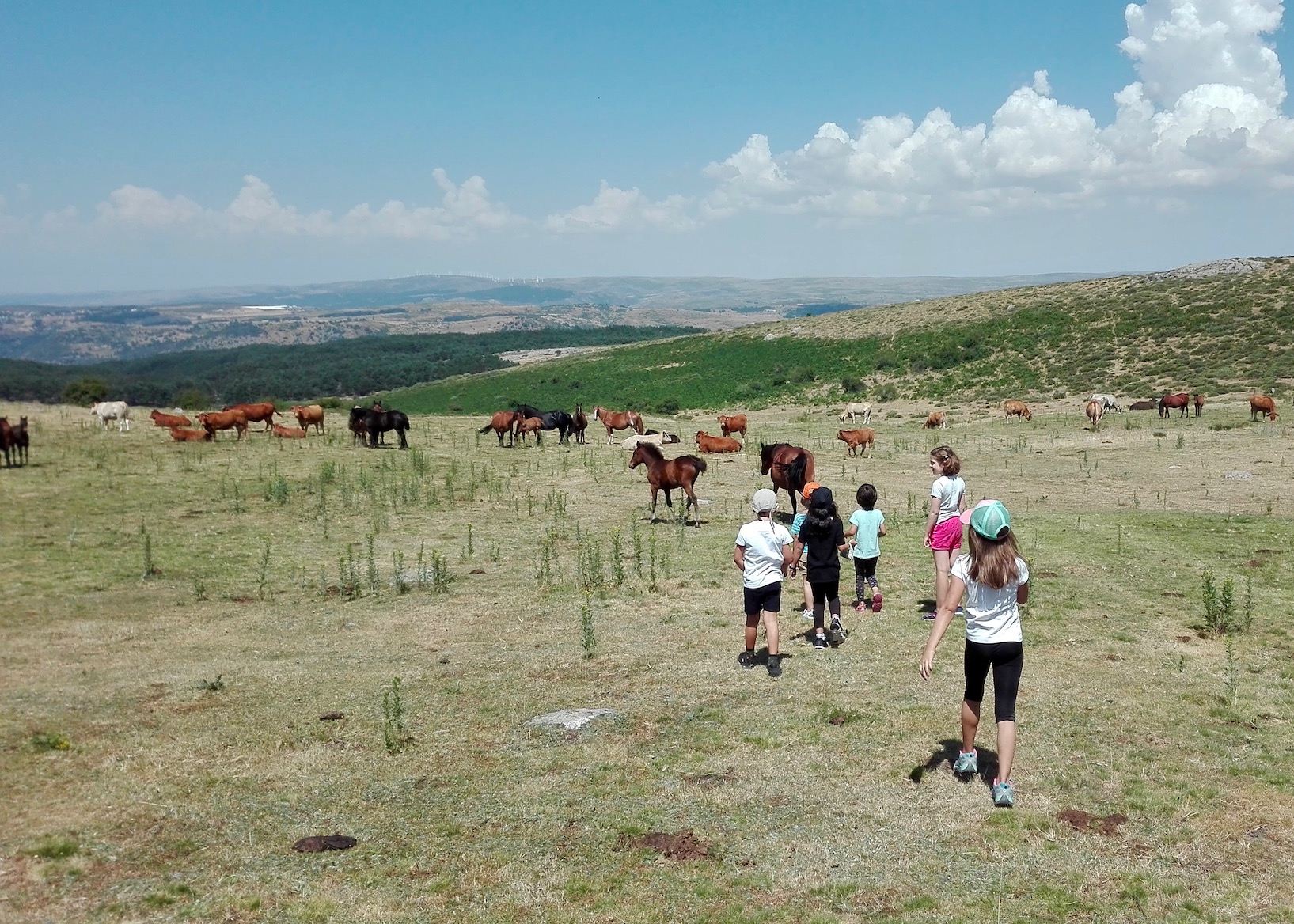 Campamento de Verano en la Naturaleza