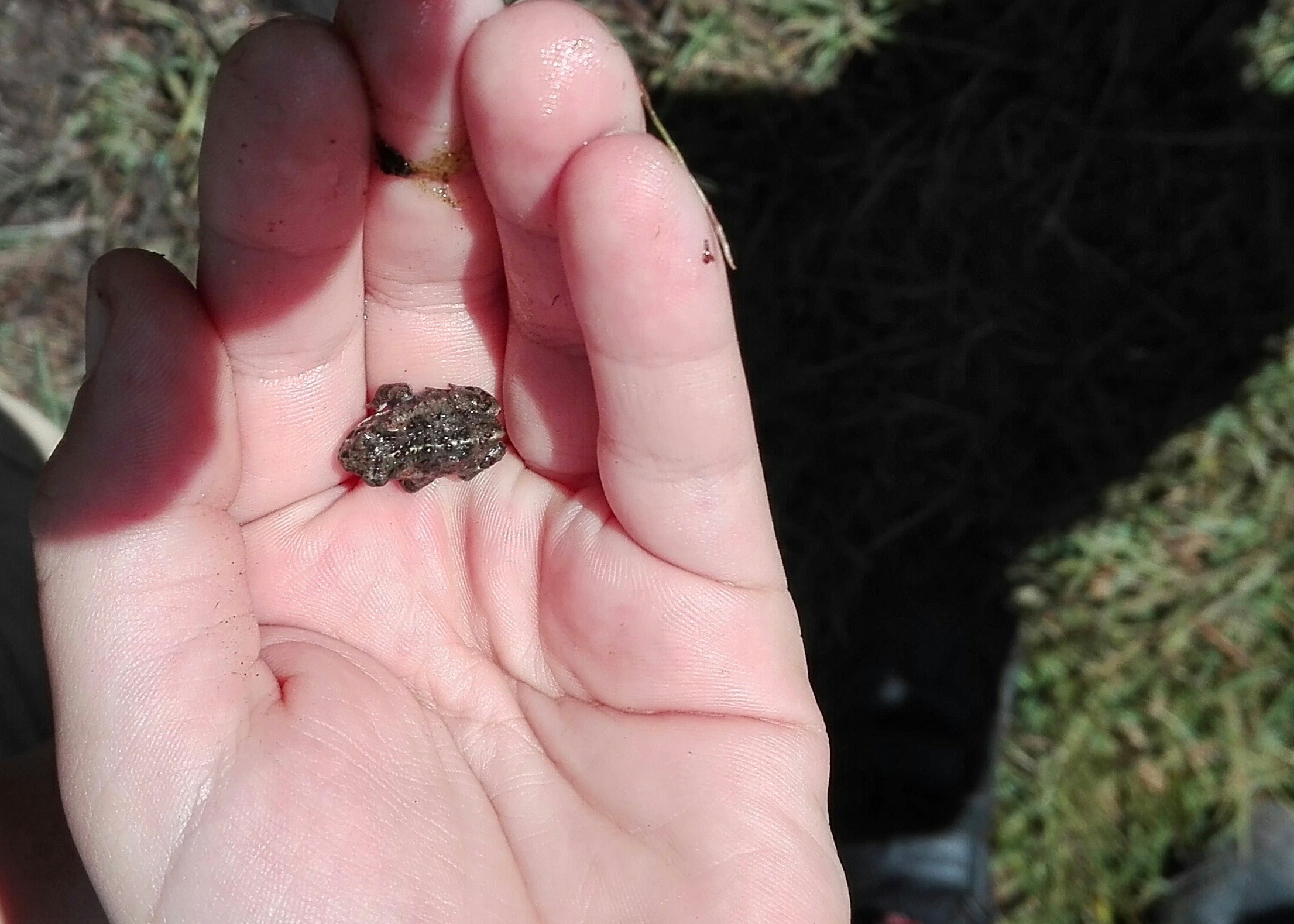 Campamento de Verano en la Naturaleza