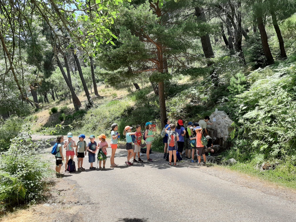 Campamento de Verano en la Naturaleza