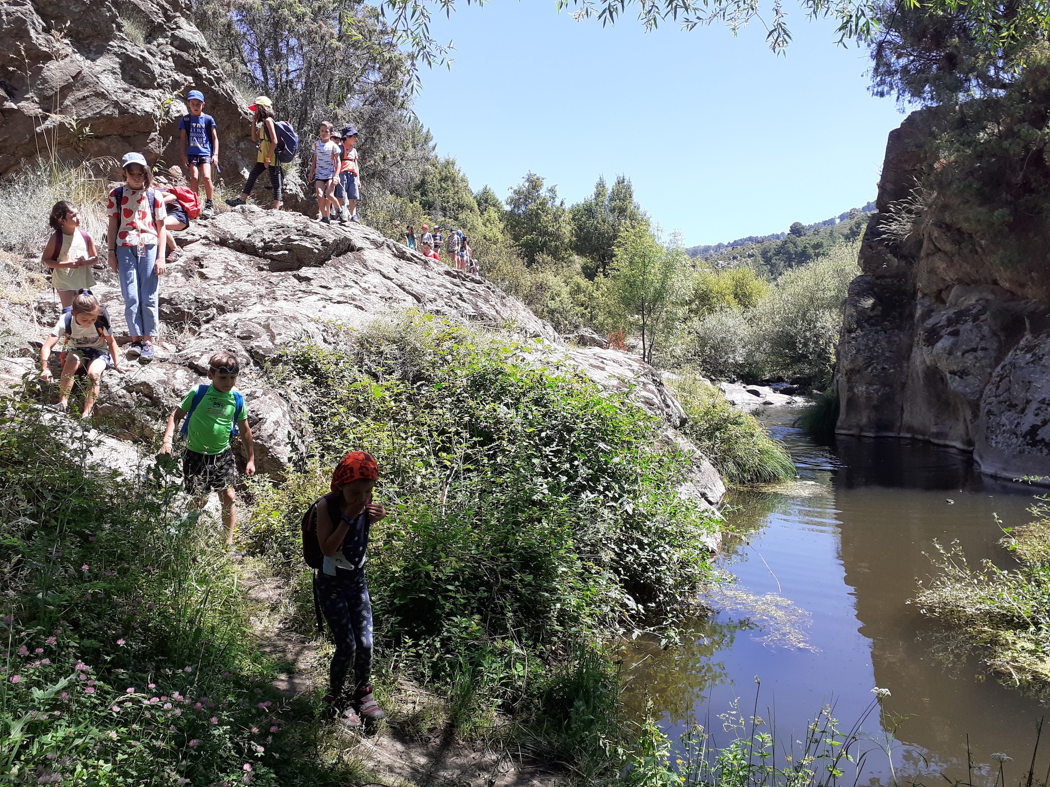 Campamento Naturaleza