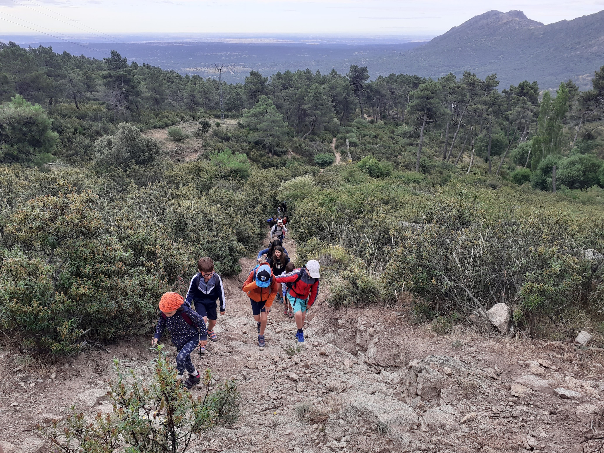 Campamento Naturaleza