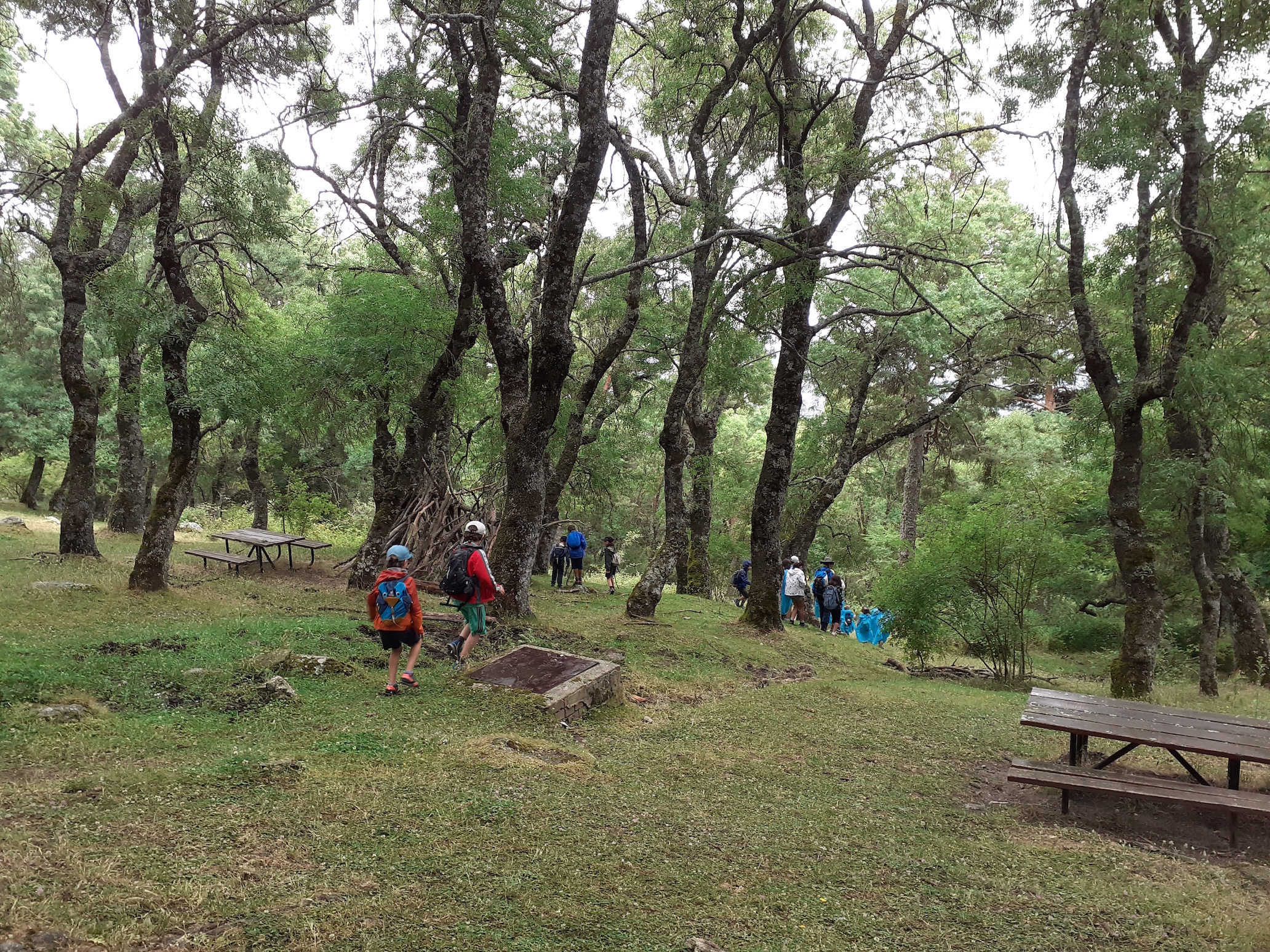 Campamento Naturaleza