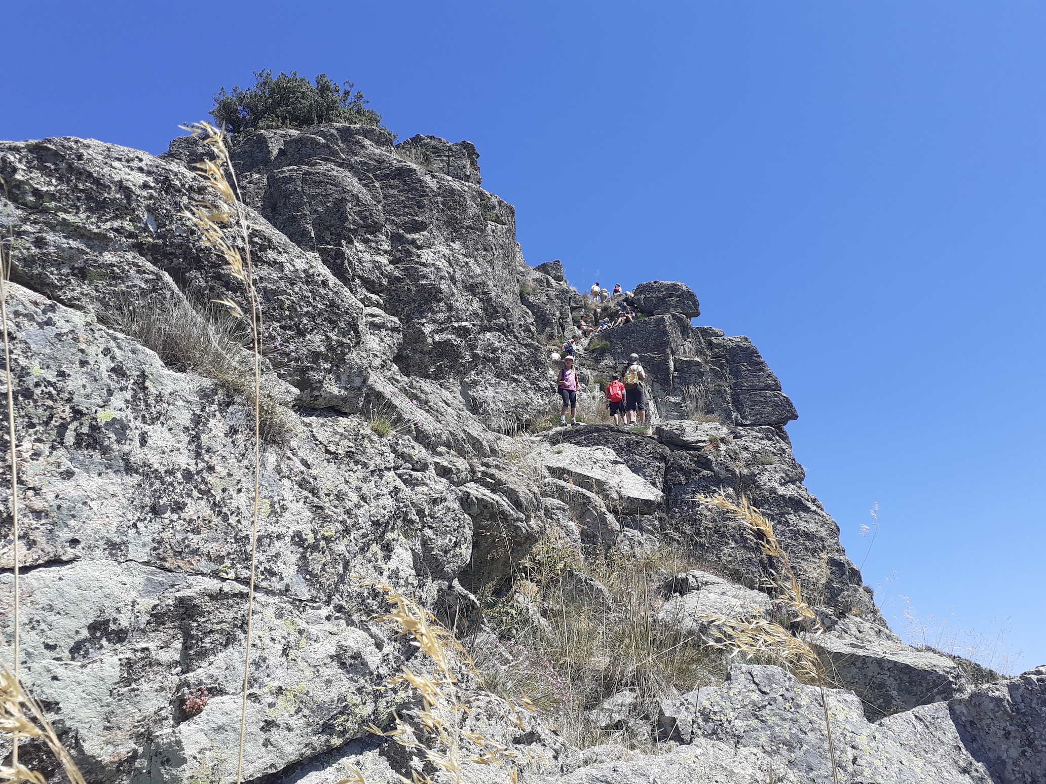 Campamento Naturaleza