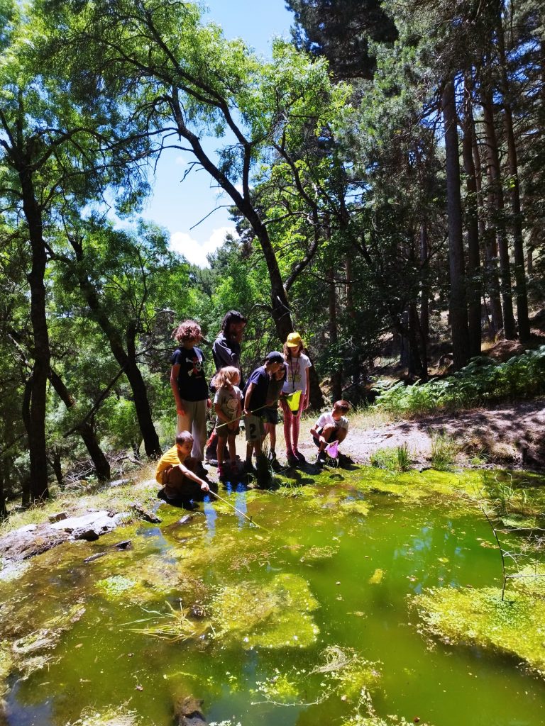 Campamentos Madrid